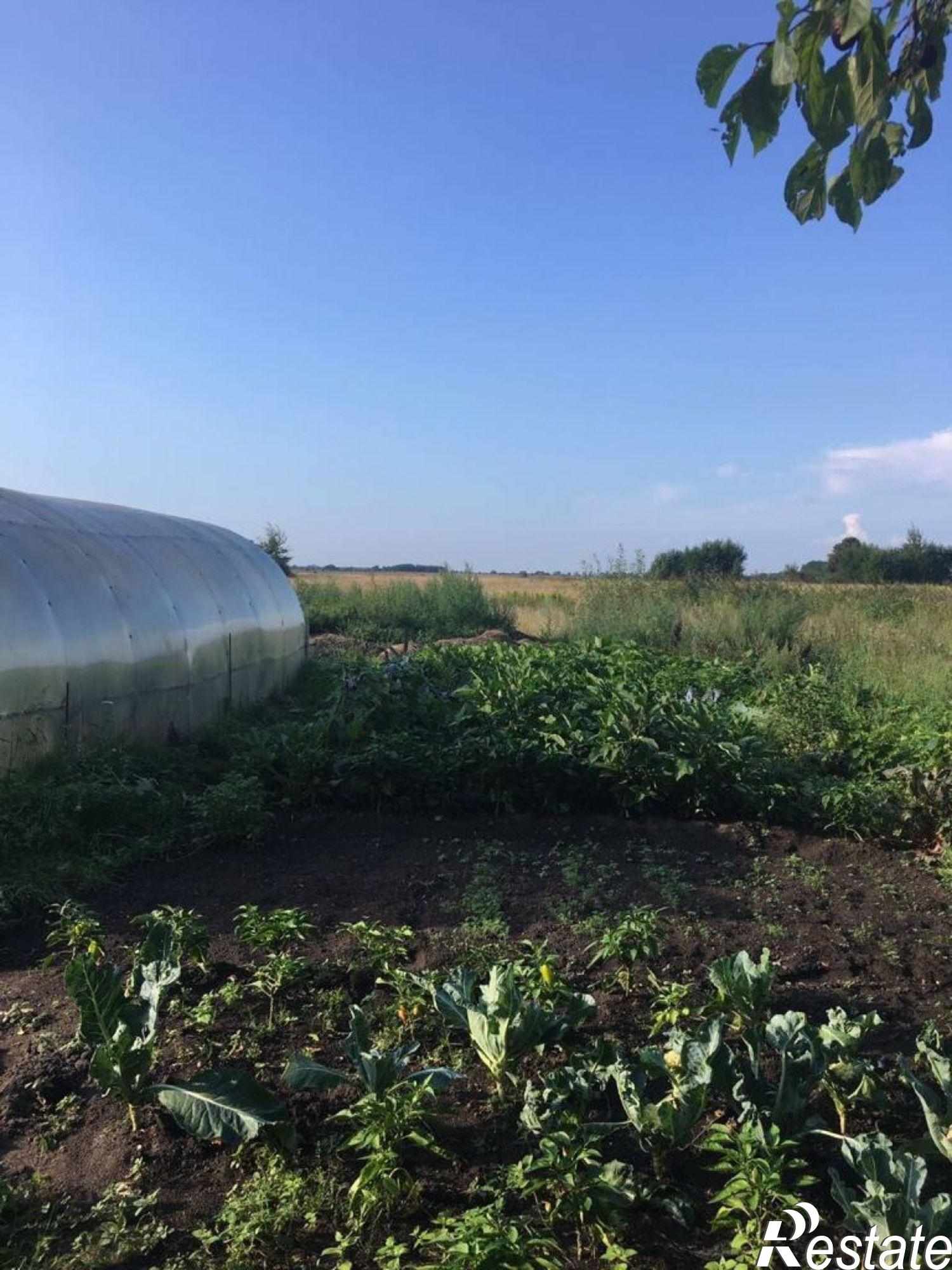 Купить дачу, дом, коттедж за 3 500 000 рублей на Центральная ул