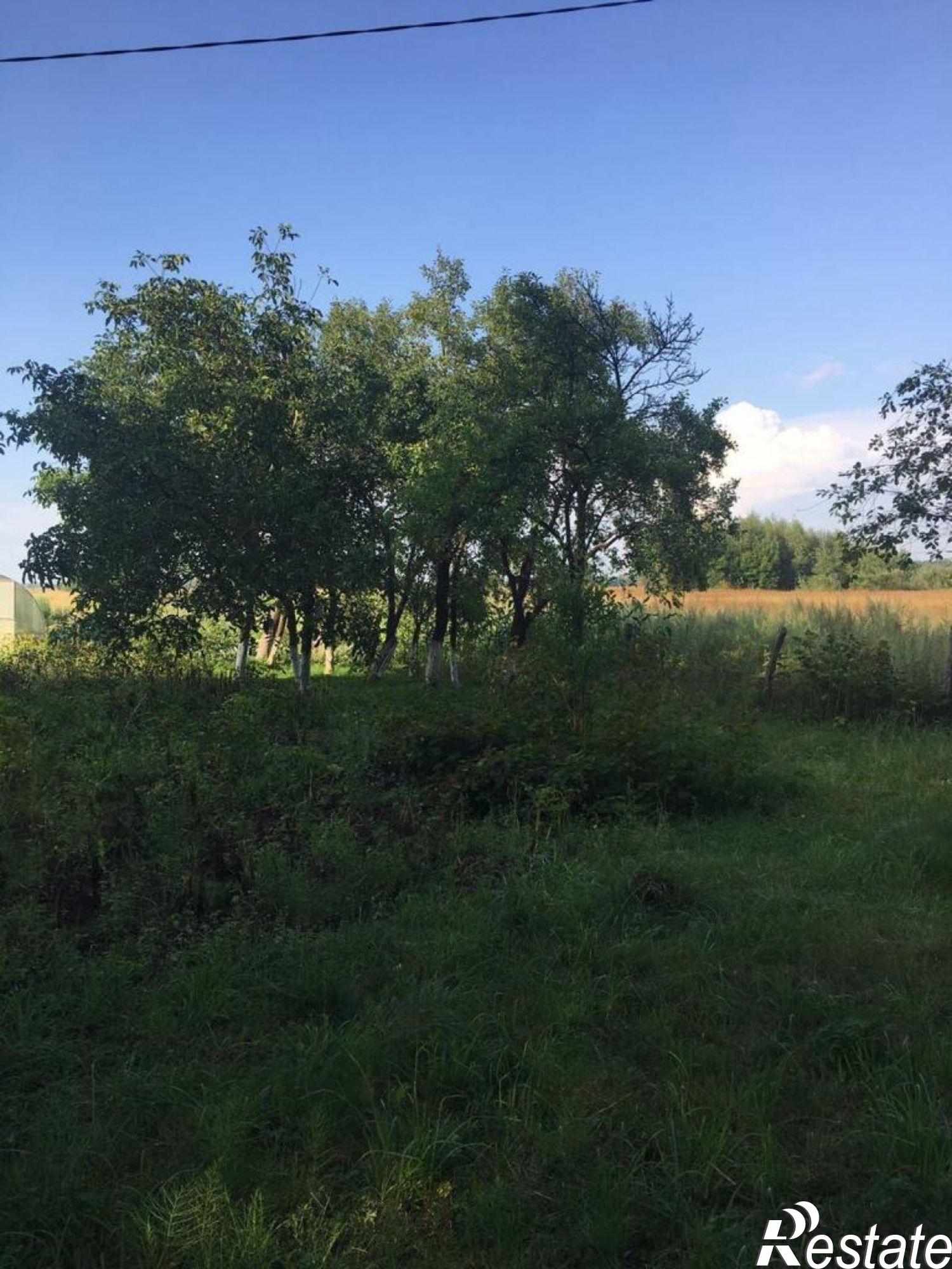 Купить дачу, дом, коттедж за 3 500 000 рублей на Центральная ул