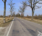 земля 50 сот Центральная ул