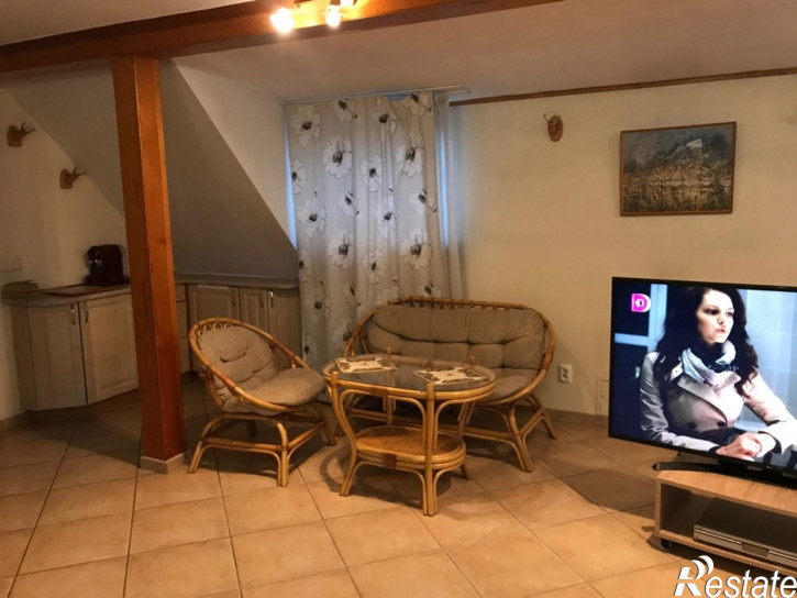 2-комн квартира Репина ул, 2а
