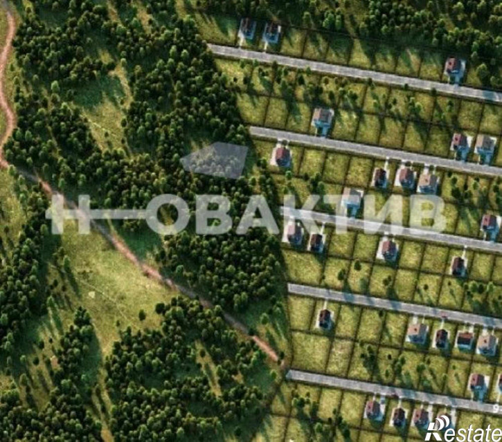 Земельный участок Новосибирская обл, Новосибирский р-н, село Каменка, д 6