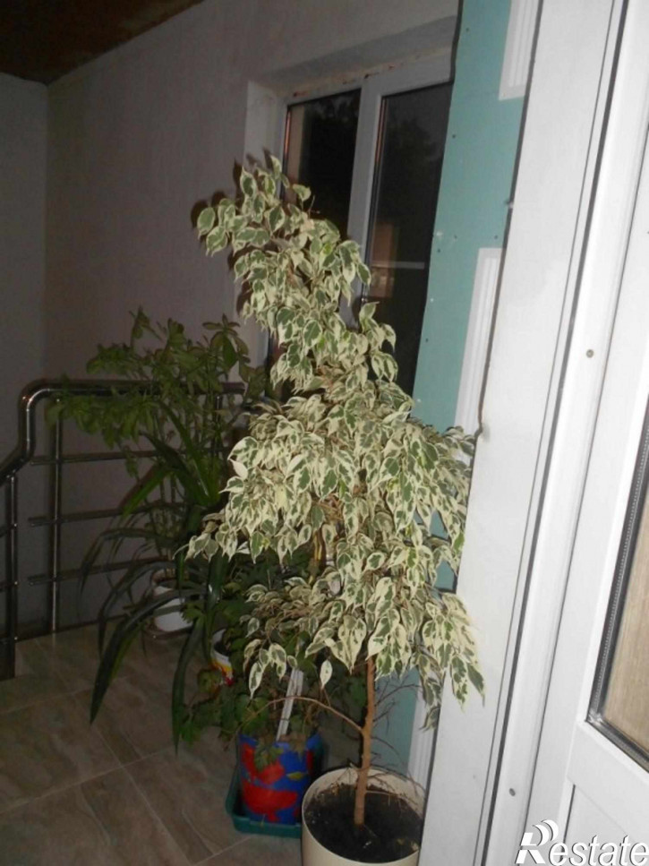 Коттедж/дом геолог