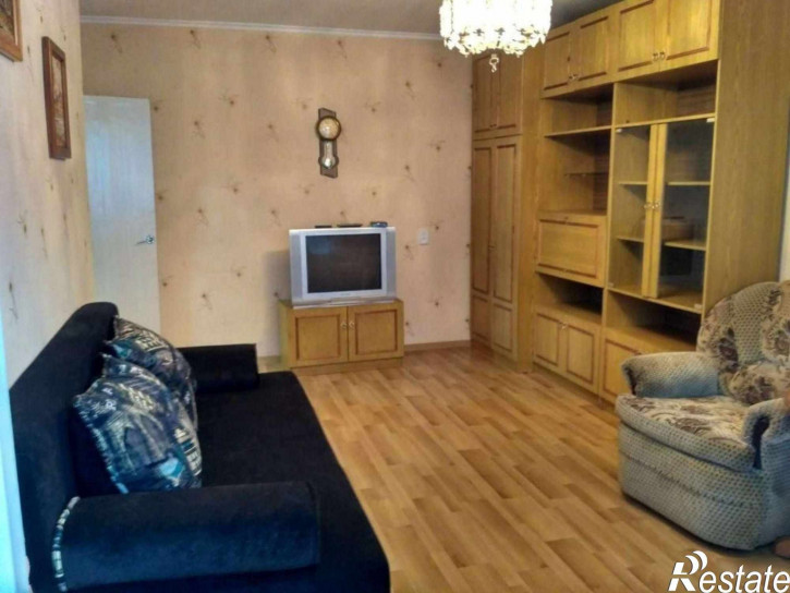 1-комн квартира Сержанта Мишина ул, 24