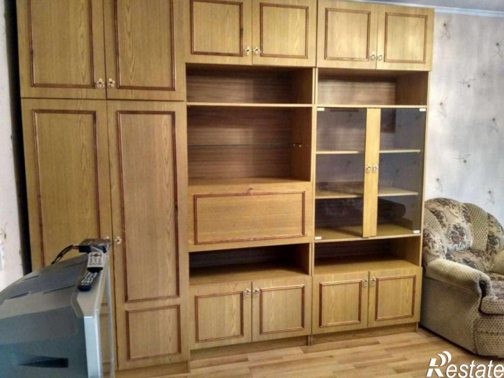 1-комн квартира Сержанта Мишина ул, 24