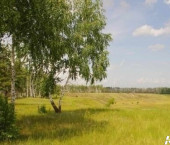 земля 1400 сот село. Казино