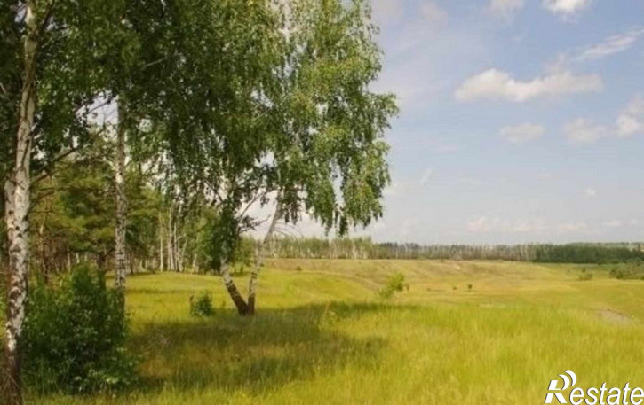 Земельный участок село. Казино
