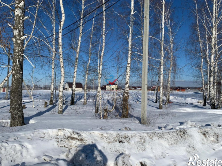Земельный участок Бессоновский район,  село Бессоновка