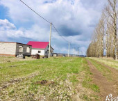 земля 15 сот Гостищево село
