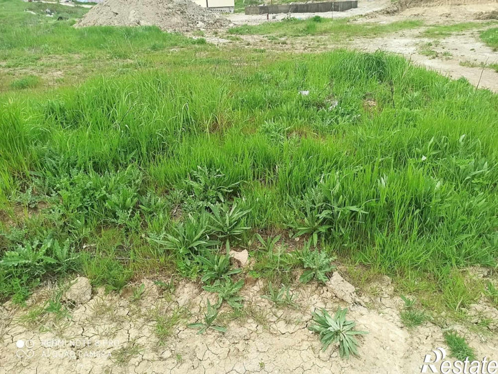 Земельный участок село Супсех