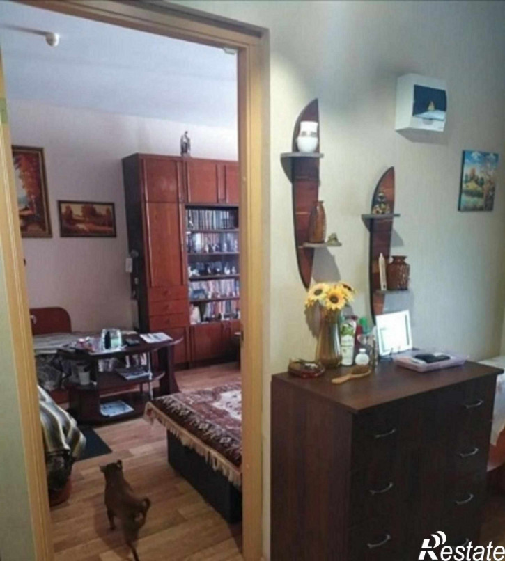 1-комн квартира Левитана ул, 59А