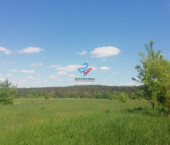земля 1130 сот Бессоновский район,  деревня Васильевка