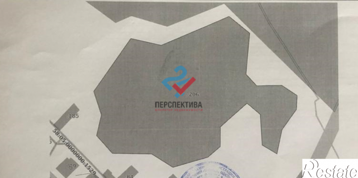 Земельный участок Бессоновский район,  деревня Васильевка