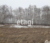 земля 15 сот 