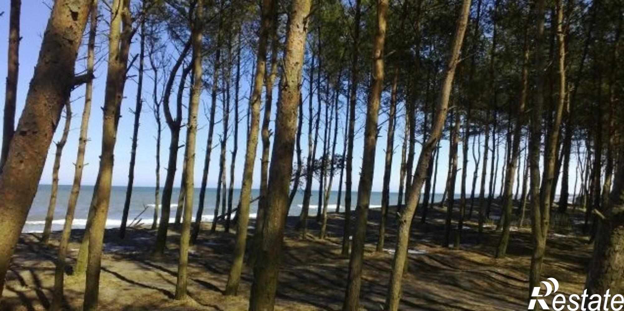 Купить землю, земельный участок за 10 300 000 рублей на Рензаева ул