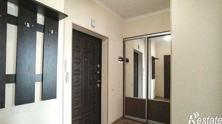 1-комн квартира Елизаветинская ул, 3