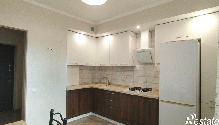 1-комн квартира Елизаветинская ул, 3