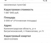земля 60 сот Центральная ул