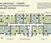 Авокадо