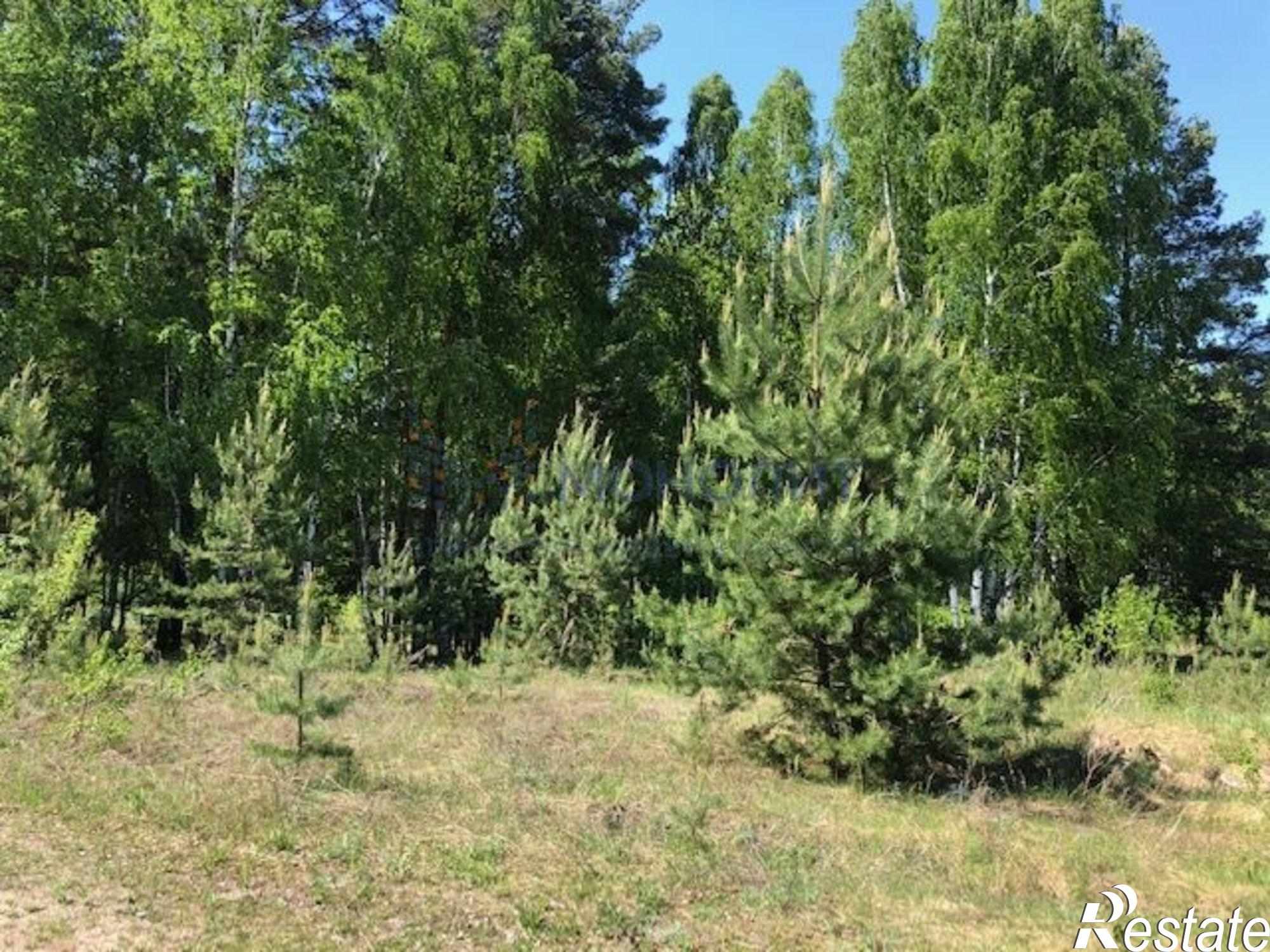Купить землю, земельный участок за 500 000 рублей на Лысковский
