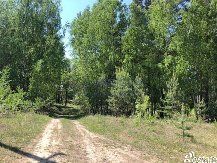 Земельный участок Лысковский