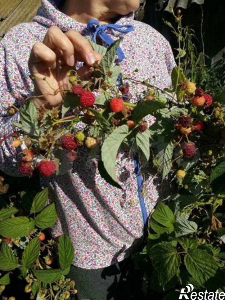 Купить Дом В Поселке Парфеновка Самарской Области