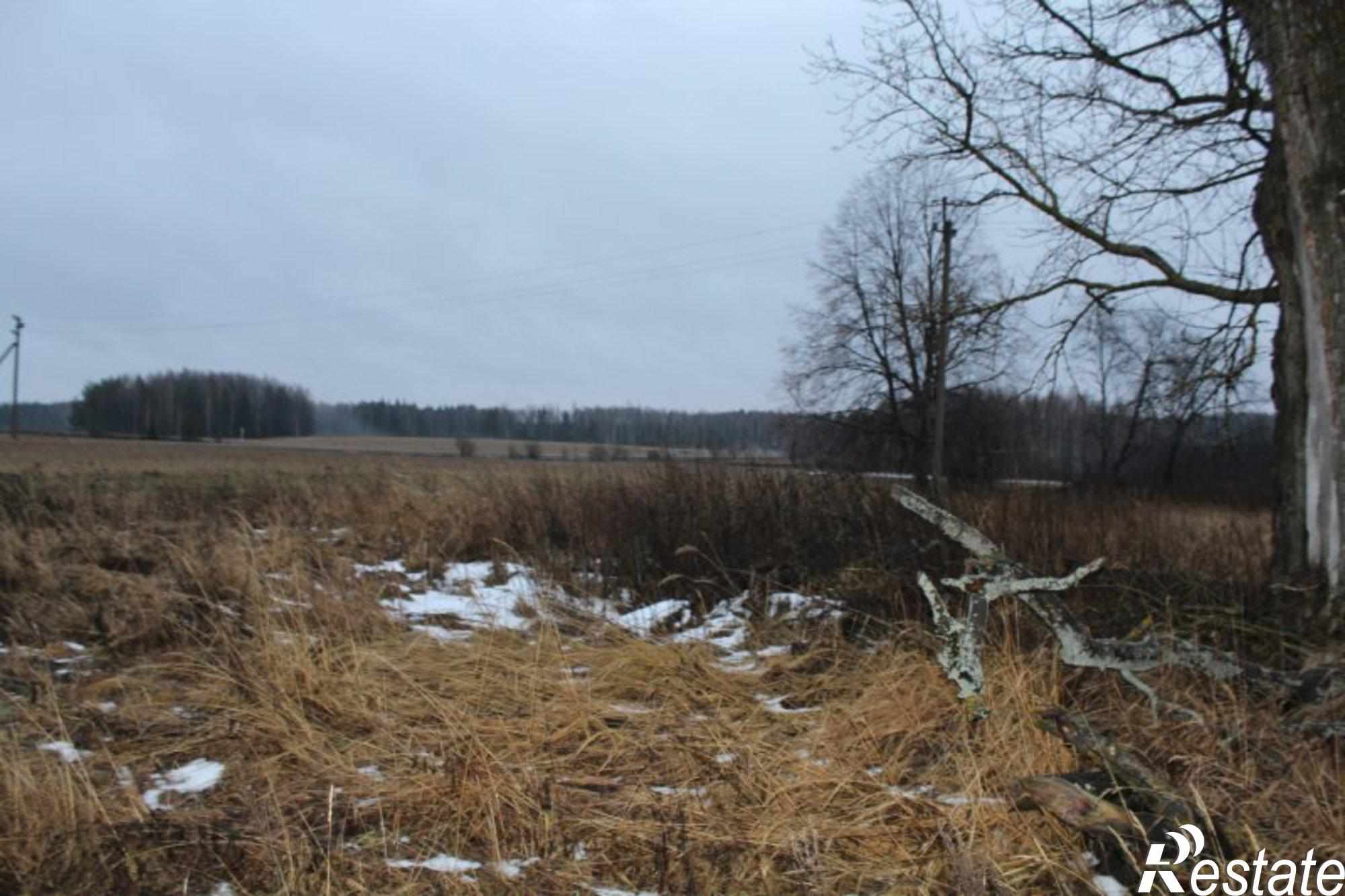 Купить землю, земельный участок за 130 000 рублей на ,