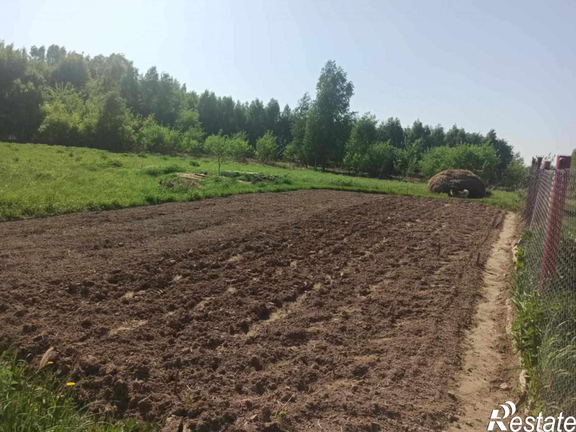 Купить землю, земельный участок за 250 000 рублей на Подкопайки д