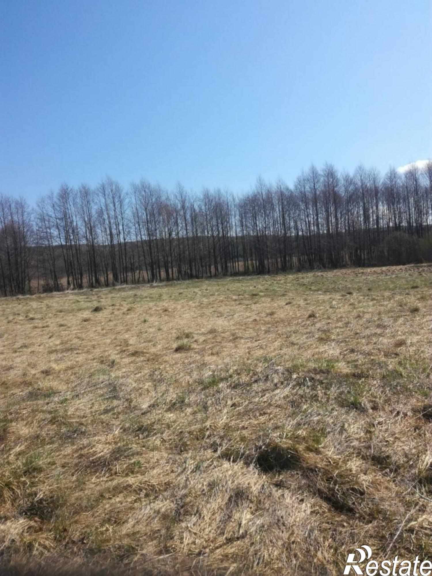 Купить землю, земельный участок за 3 000 000 рублей на Хвощевка с
