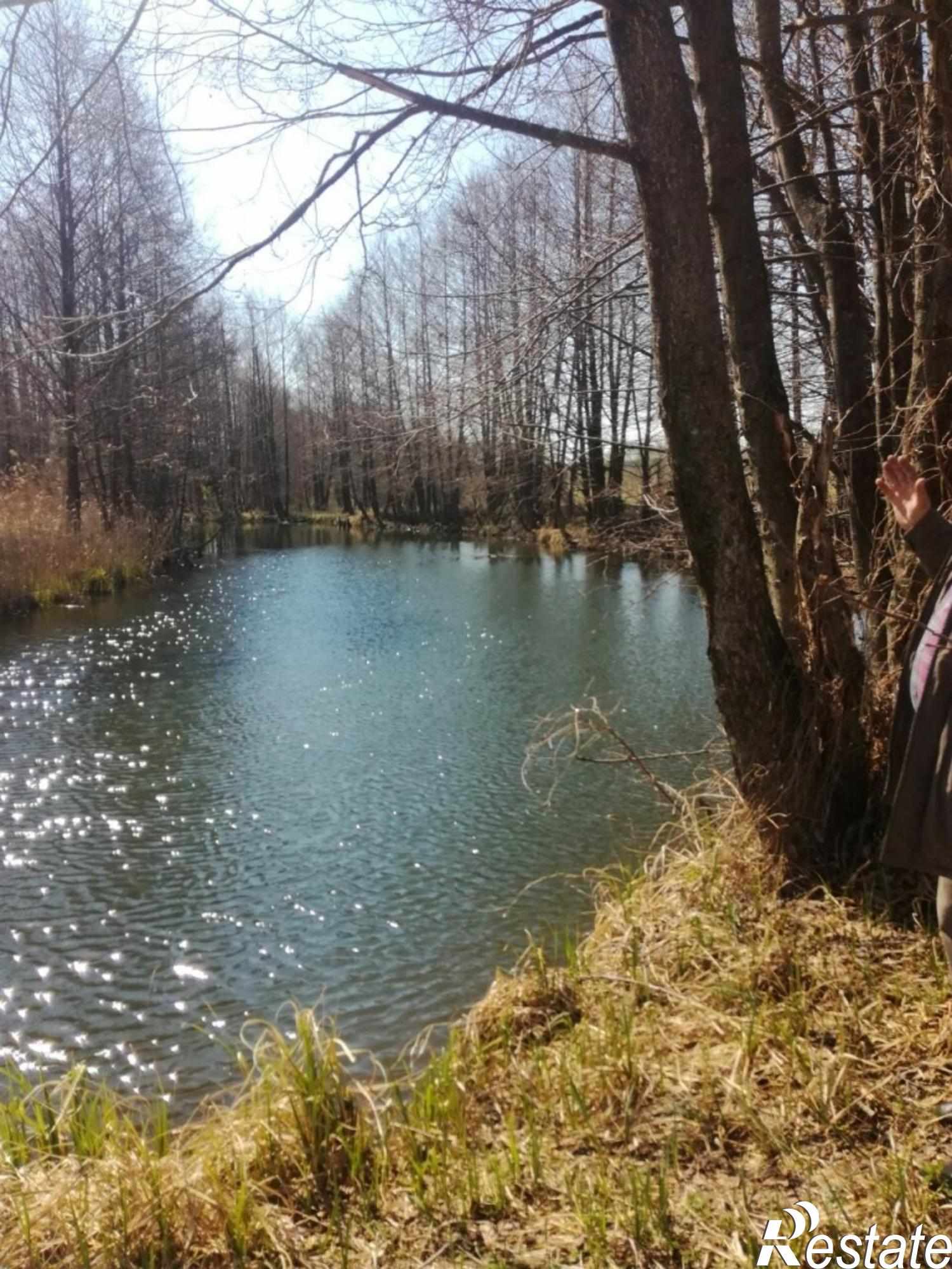 Купить землю, земельный участок за 3 000 000 рублей на Хвощевка с
