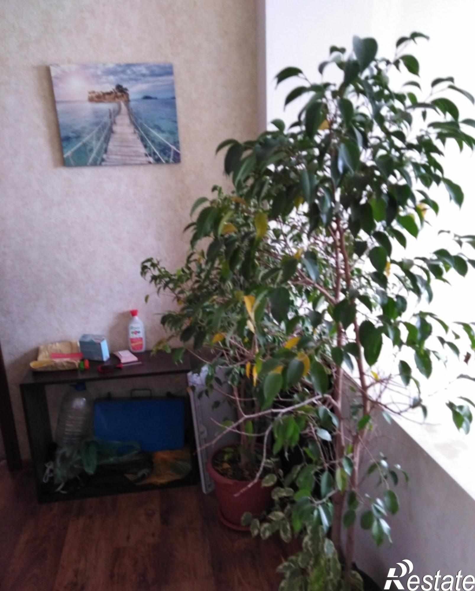Купить дачу, дом, коттедж за 5 100 000 рублей на Калинина ул