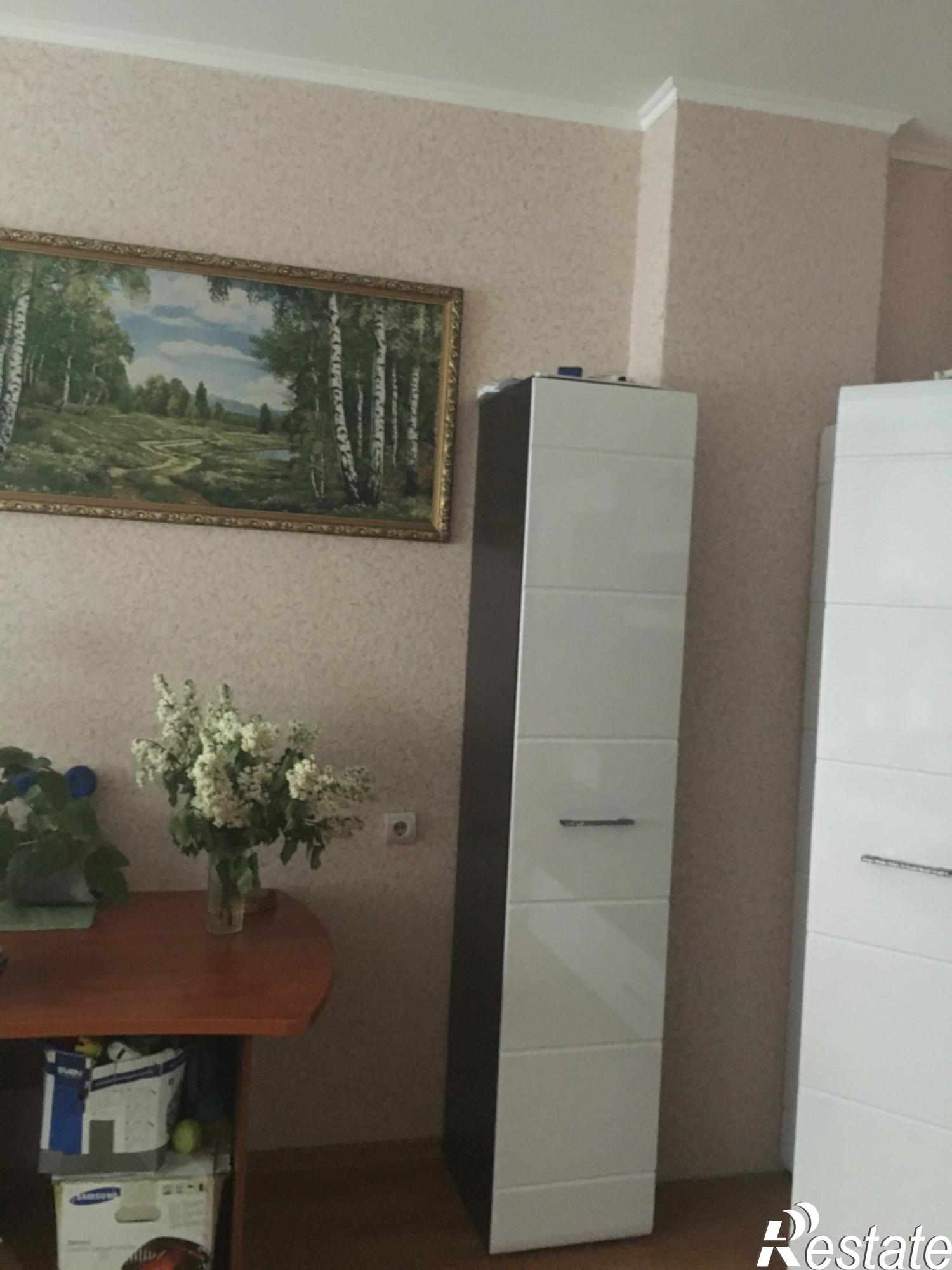 Купить квартиру за 2 900 000 рублей на Северная Звезда ул