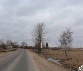 земля 15 сот Колышино д