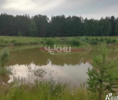 земля 600 сот Зубаниха д