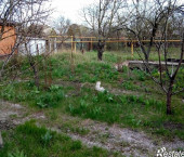 земля 6 сот Лесопитомник ул