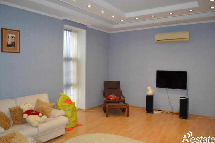 3-комн квартира Пестова ул, 24