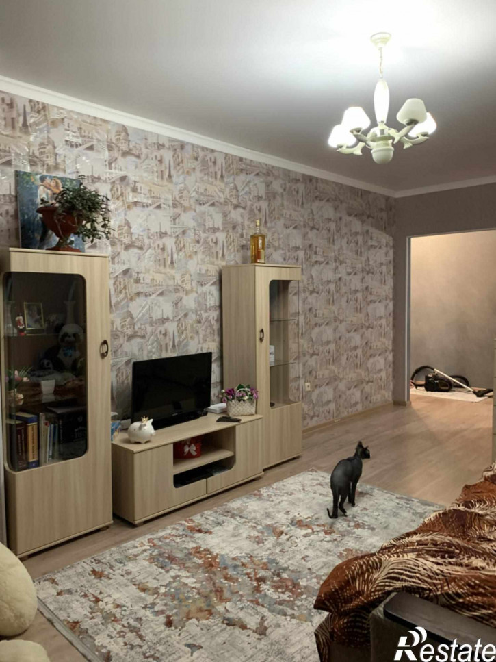 1-комн квартира Нежнова ул, 52