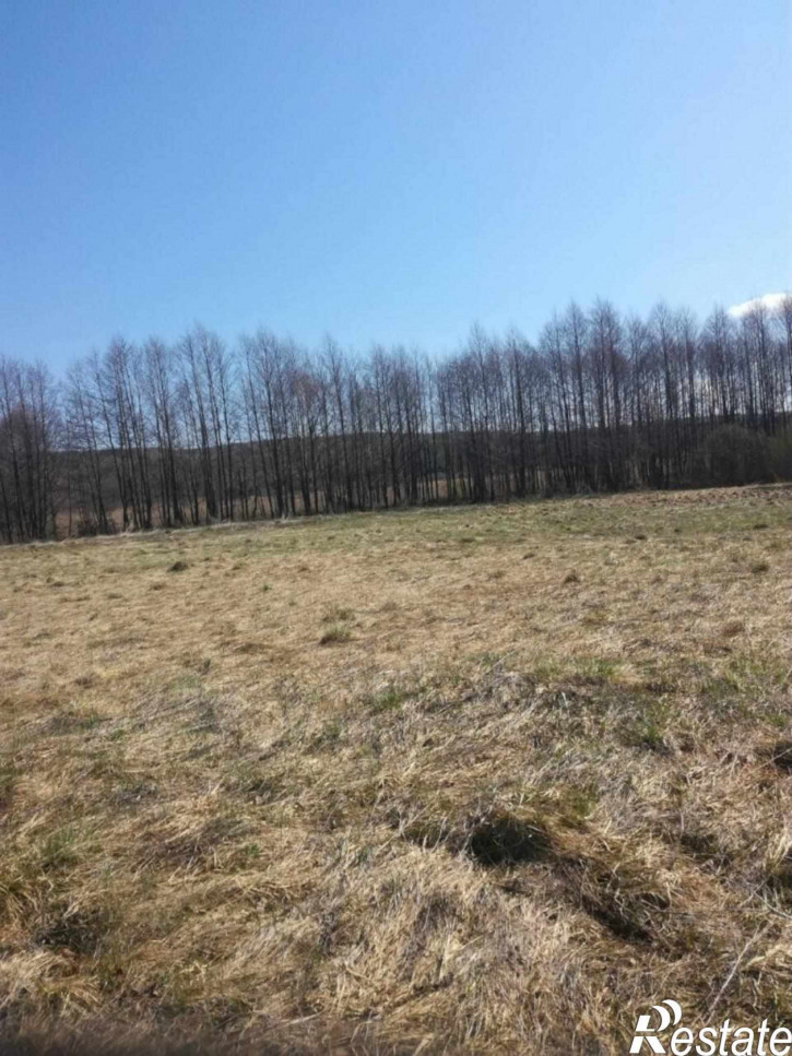Земельный участок Хвощевка с