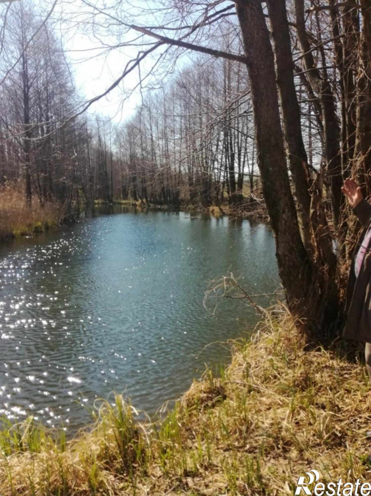 Земельный участок Хвощевка с