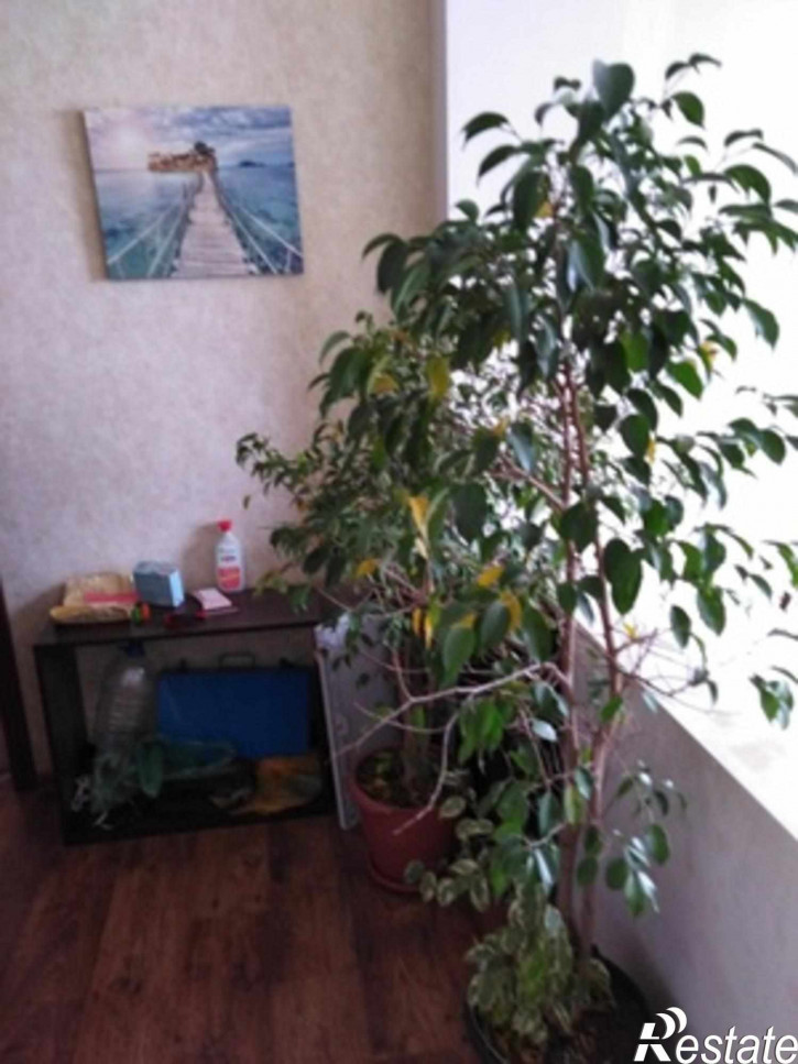 Коттедж/дом 50 лет Октября ул
