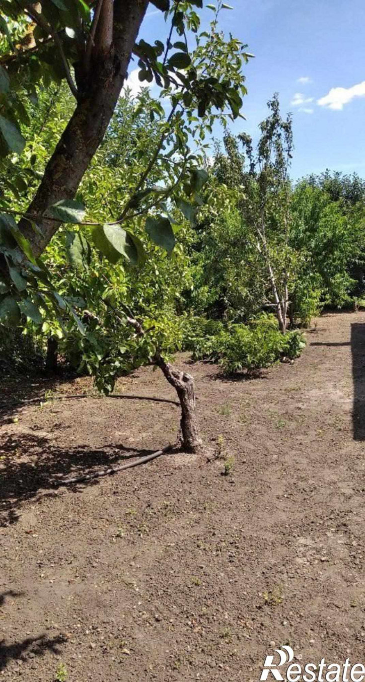 Коттедж/дом Красный Сад п