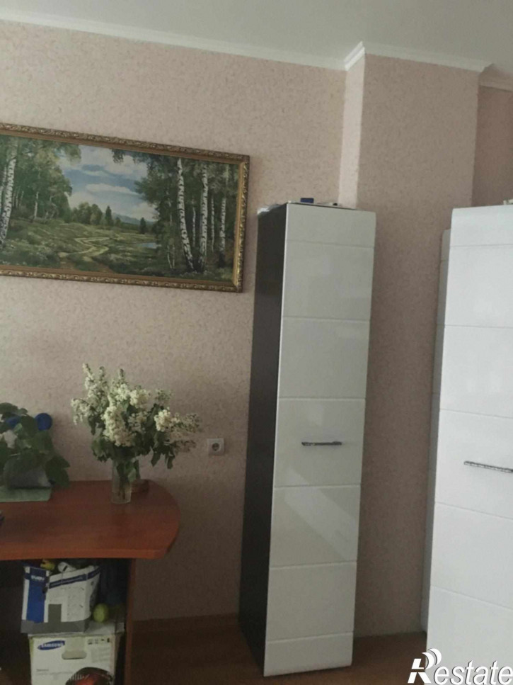 1-комн квартира Северная Звезда ул