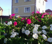 коттедж 100 кв м Майский п