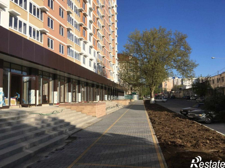 2-комн квартира Владимирская ул, 55в