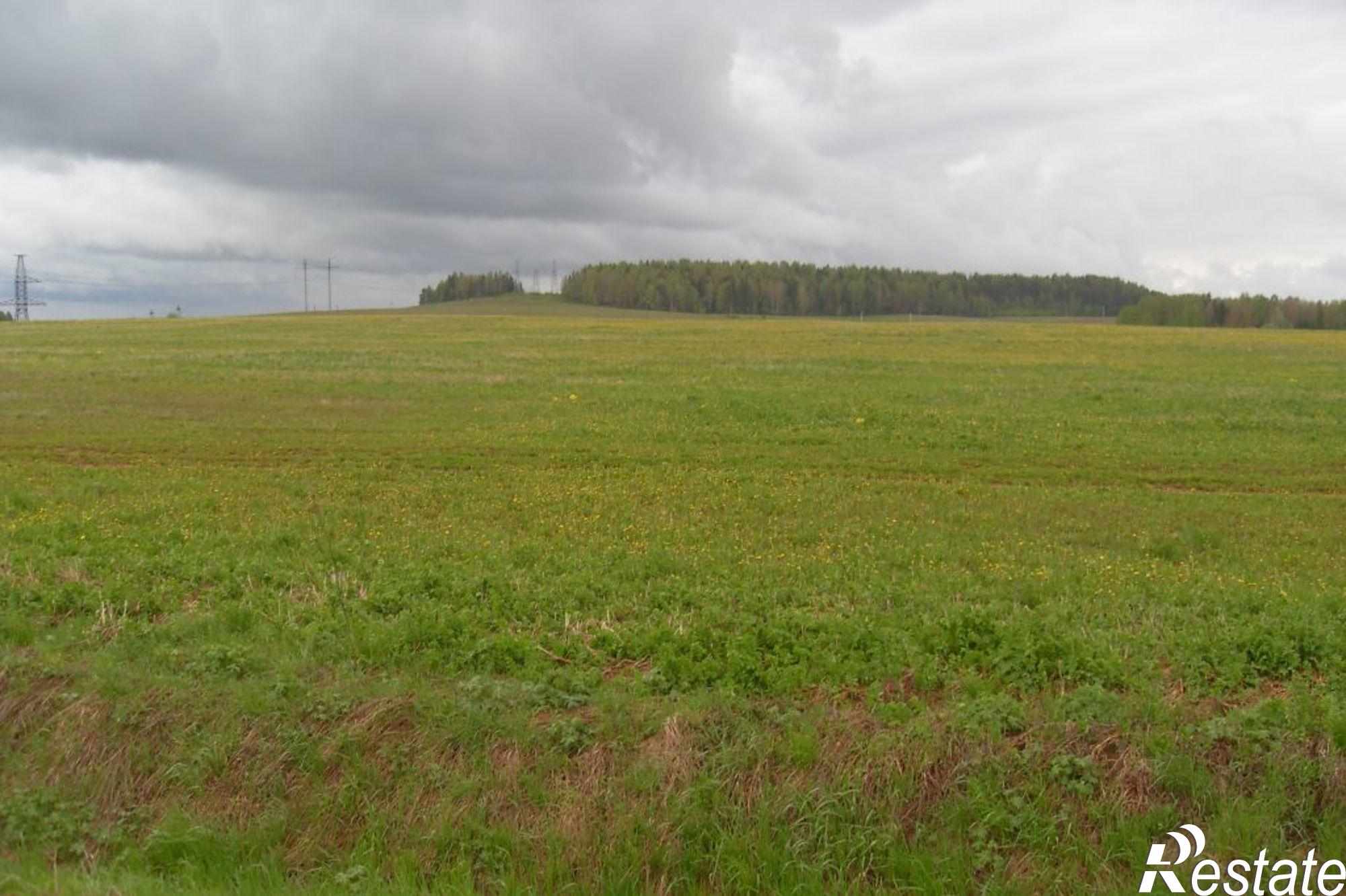 Купить землю, земельный участок за 1 250 000 рублей на Кстинино