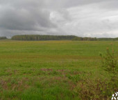 земля 620 сот Звени д