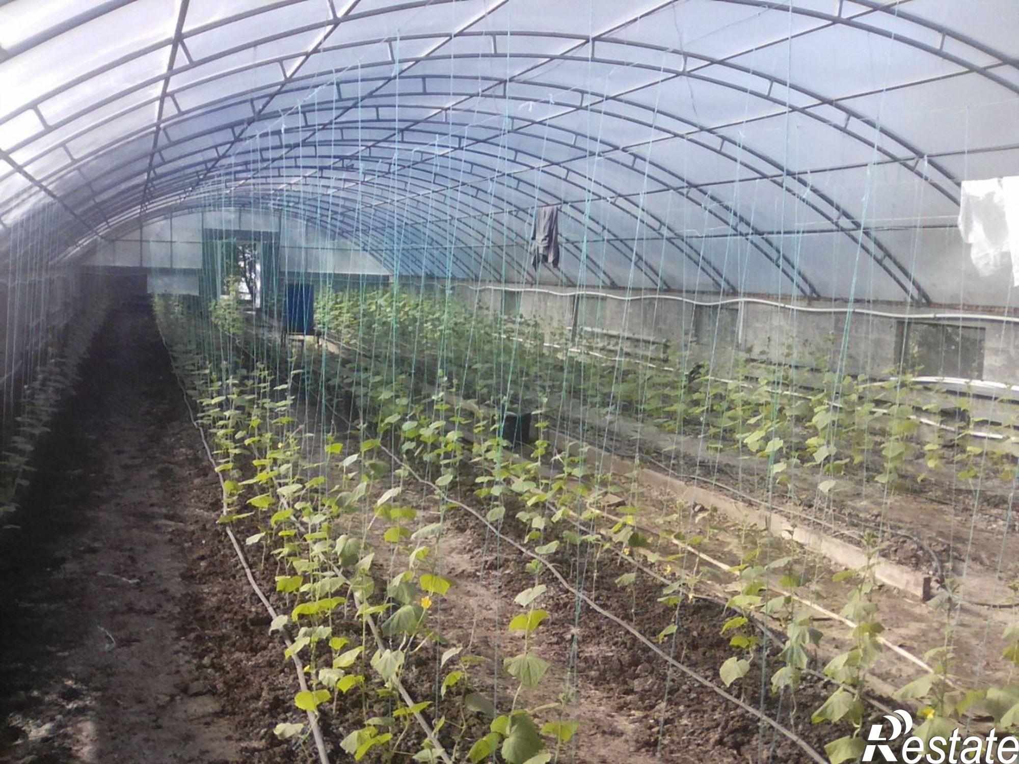 Купить производственную площадь за 5 268 000 рублей на Луговая улица