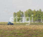 земля 3319 сот 