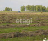 земля 6359 сот 