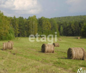 земля 295.4 сот 