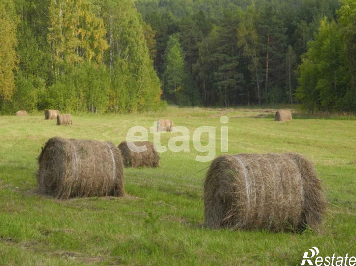Земельный участок